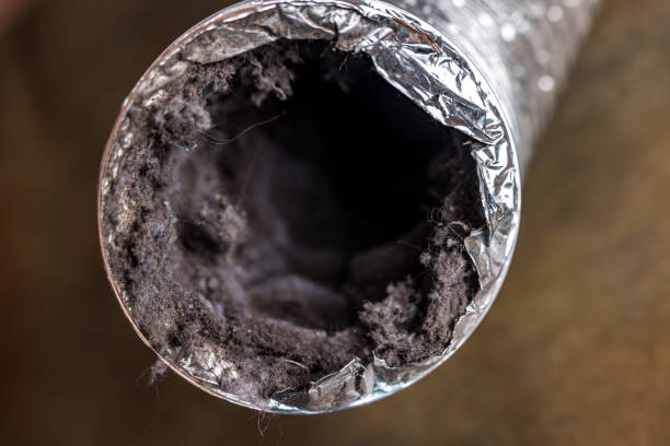 Best Local Air Duct Cleaning Services  in Maywood Park, OR
