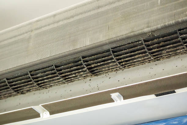 Best Commercial Air Duct Cleaning  in Maywood Park, OR
